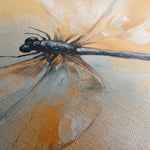 Animals 003 Canvas Art 60 x 40 cm / Black