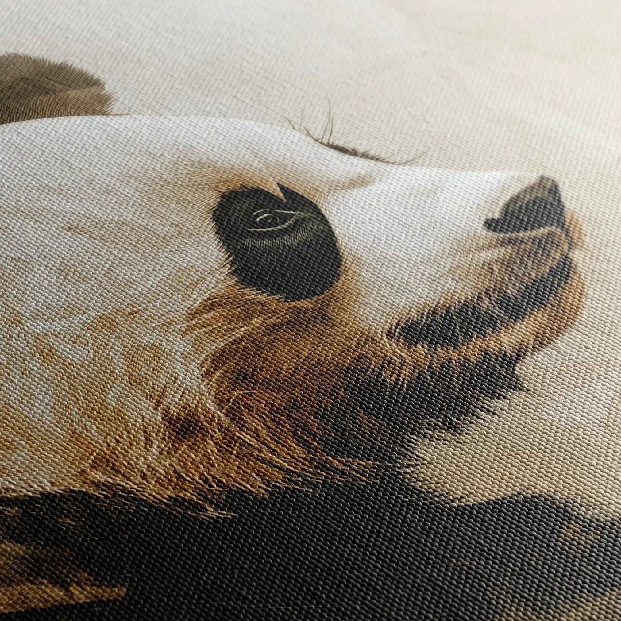 Animals 011 Canvas Art 60 x 40 cm / Black