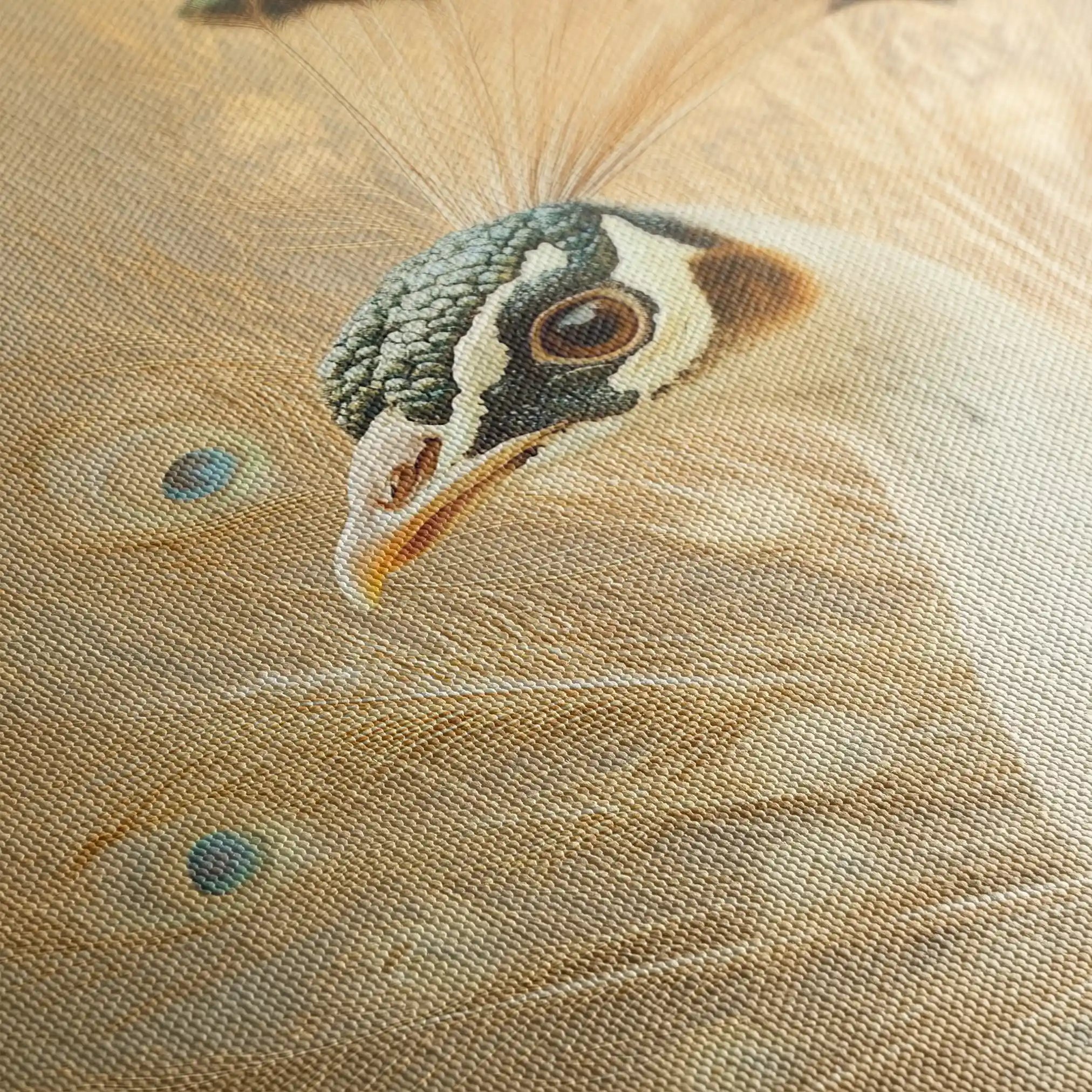 Animals 019 Canvas Art 60 x 40 cm / Black