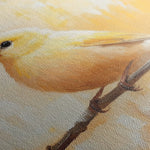 Animals 034 Canvas Art 60 x 40 cm / Black