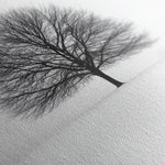 Floral 1086 Canvas Art 60 x 40 cm / Black