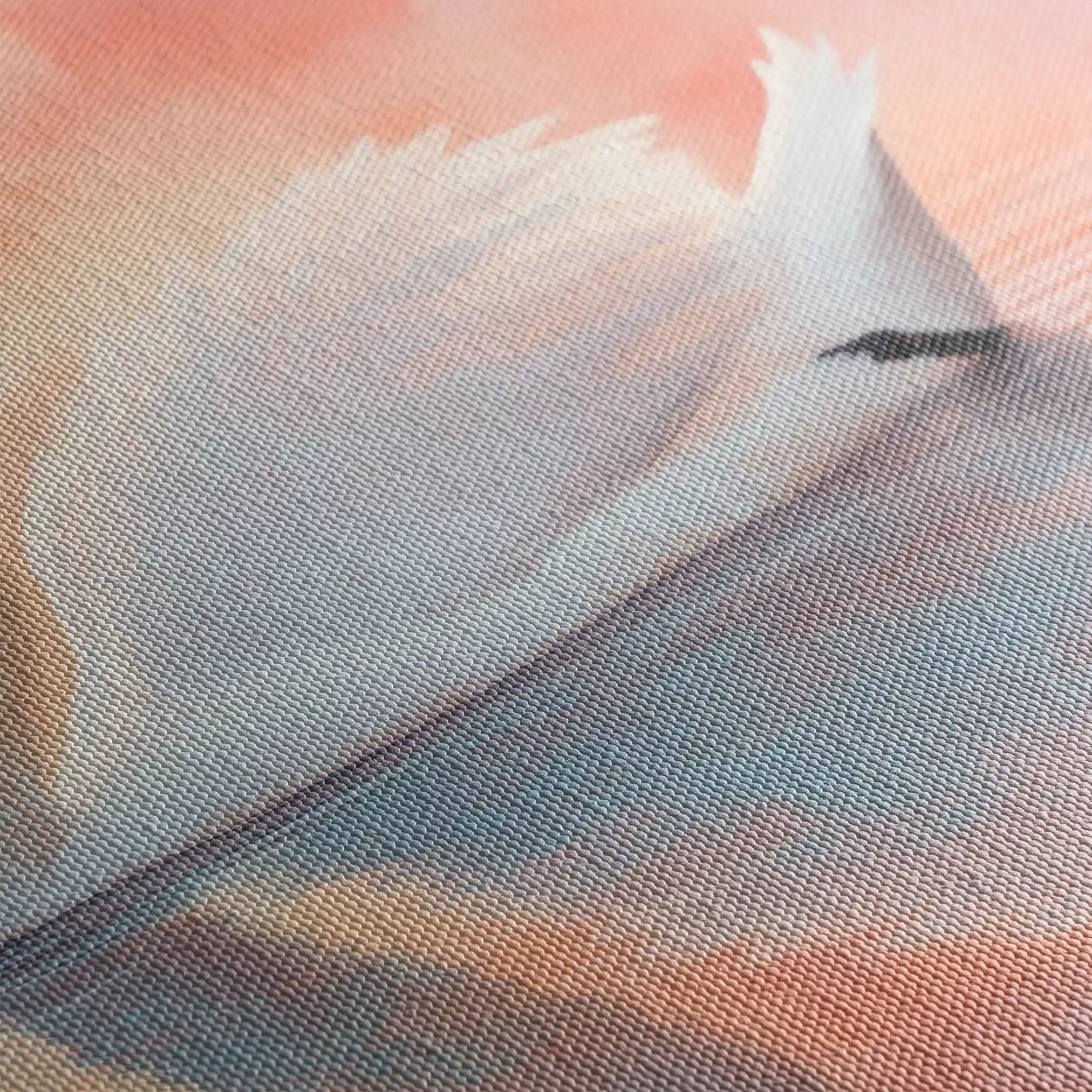 Animals 114 Canvas Art 60 x 40 cm / Black