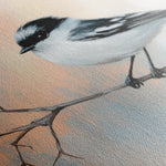 Animals 136 Canvas Art 60 x 40 cm / Black