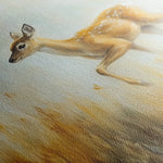 Animals 145 Canvas Art 60 x 40 cm / Black