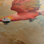 Animals 157 Canvas Art 60 x 40 cm / Black