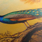 Animals 159 Canvas Art 60 x 40 cm / Black