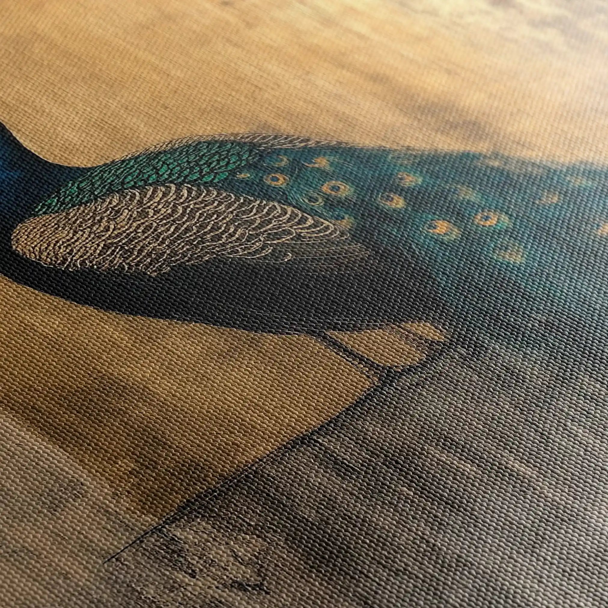 Animals 160 Canvas Art 60 x 40 cm / Black