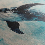 Animals 178 Canvas Art 60 x 40 cm / Black