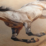Horses 179 Canvas Art 60 x 40 cm / Black