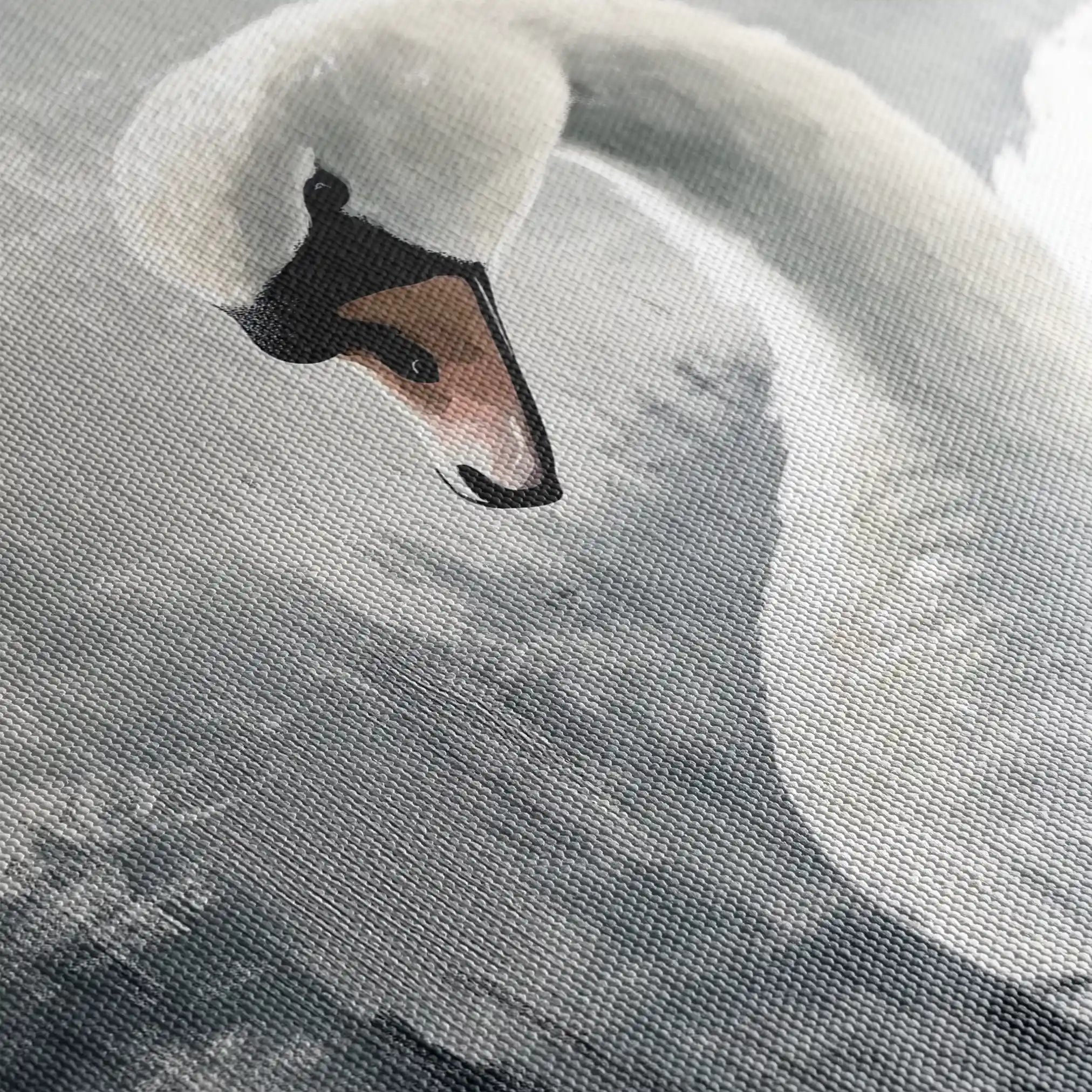 Animals 191 Canvas Art 60 x 40 cm / Black