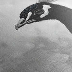 Animals 195 Canvas Art 60 x 40 cm / Black