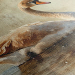 Animals 196 Canvas Art 60 x 40 cm / Black