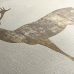 Animals 204 Canvas Art 60 x 40 cm / Black