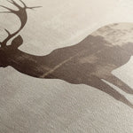 Animals 205 Canvas Art 60 x 40 cm / Black