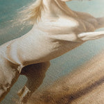 Horses 223 Canvas Art 60 x 40 cm / Black